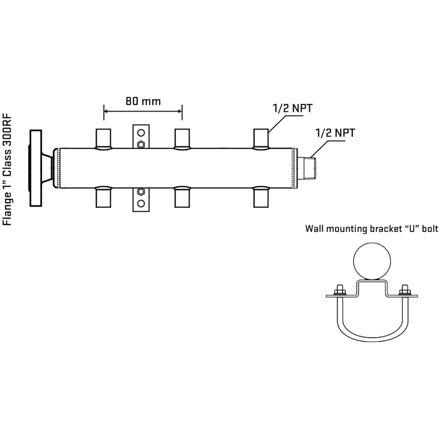 M506A060231 Manifolds Stainless Steel Double Sided